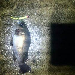 雨の日は釣れる？