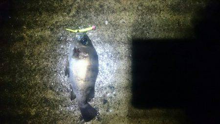 雨の日は釣れる？