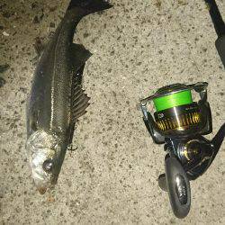 バチ抜けパターン