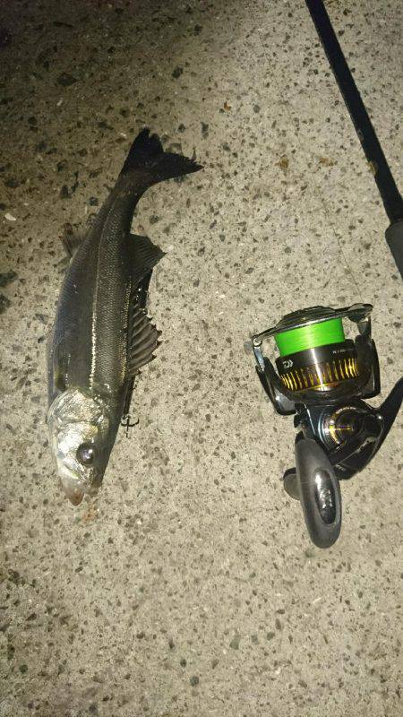 バチ抜けパターン