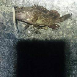 タイミングが？