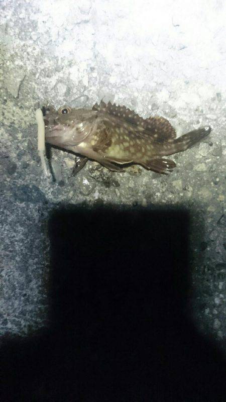 タイミングが？