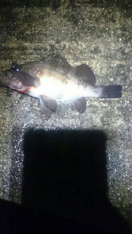 雨にもまけず。