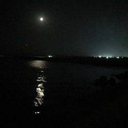 夜紀ノ川河口へ移動