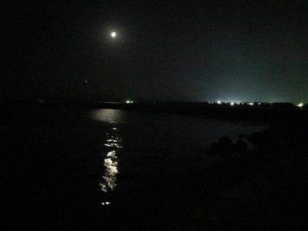 夜紀ノ川河口へ移動