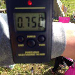 エギング遠征！