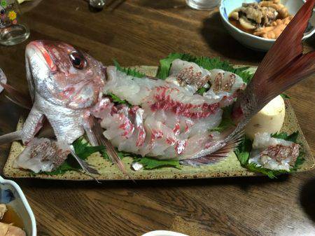 明石沖タイサビキ