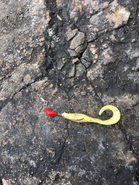 ショアガシリング