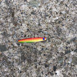 青物不発    タチ1