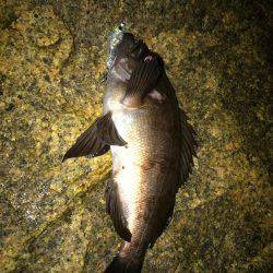 楽しいメバリング！