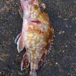 ミップル様周辺にて(笑)。