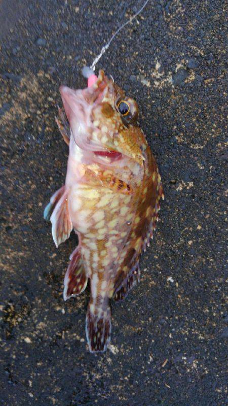 ミップル様周辺にて(笑)。