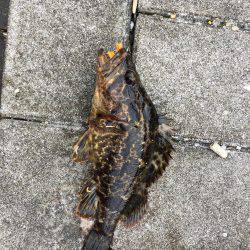 GW初日メバリング