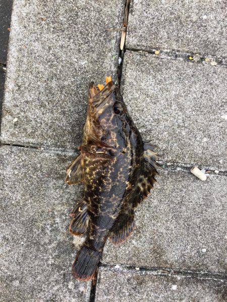 GW初日メバリング