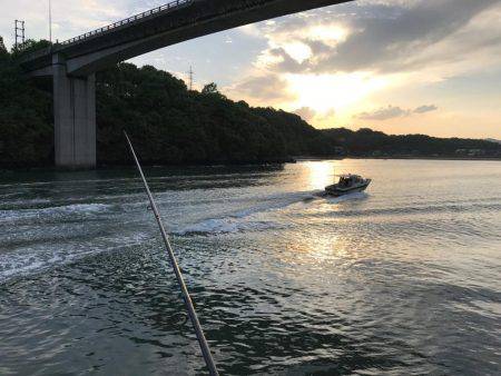 イイダコ→イシガニ