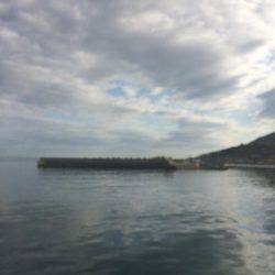 はじめてのメバル