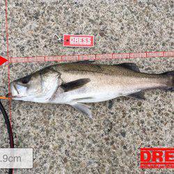 岸ジギ始まった