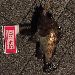 GWメバリング2日目!