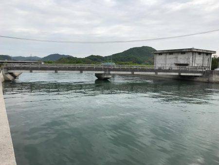 やっとのチーバス