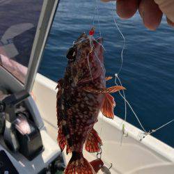 ジギング タイラバ ティップランのはずが・・・