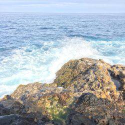 いつも通りのサイズ