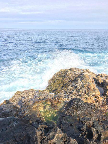 いつも通りのサイズ