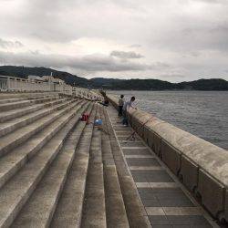 激渋、そしてエソ