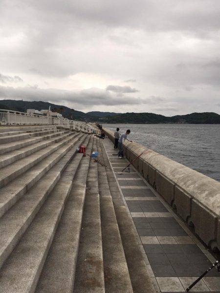 激渋、そしてエソ