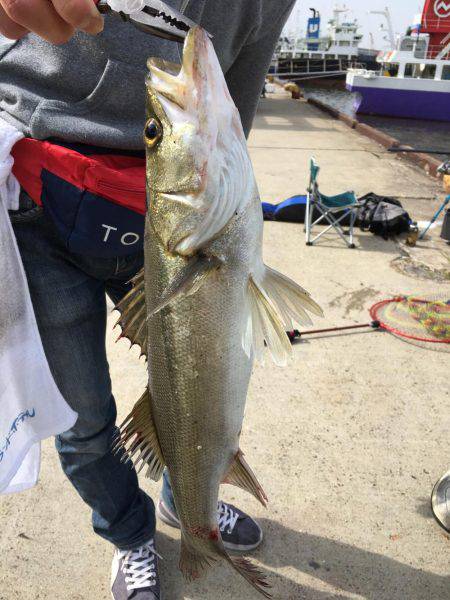 またまたエビ撒き