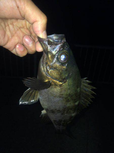 ランガンメバリング