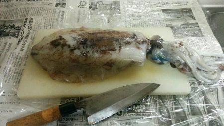 ヤエンでアオリイカ