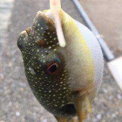 ランガンで攻め続けた結果…