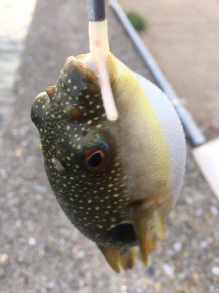 ランガンで攻め続けた結果…