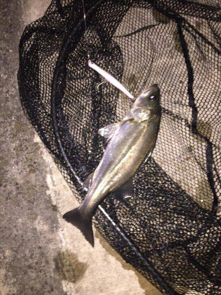 残りバチシー！