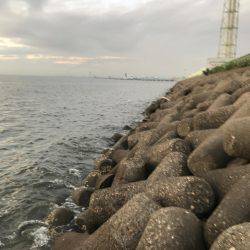 アジングのつもりが