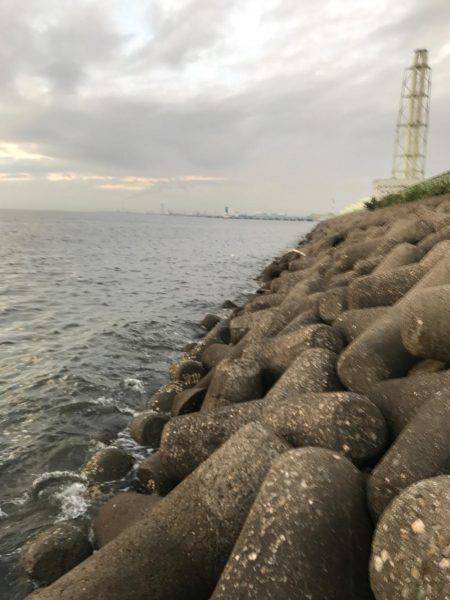 アジングのつもりが