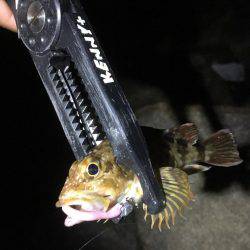 未知のポイントへ…