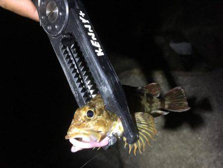 未知のポイントへ…