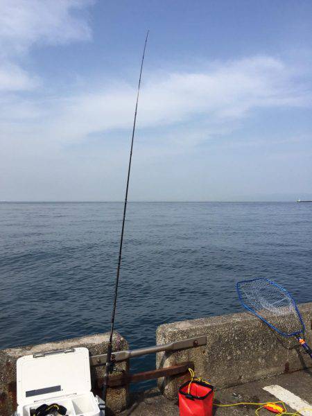 はじめてのハマチ