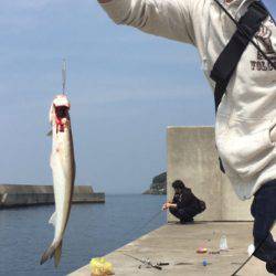 ショアジギ&穴釣り