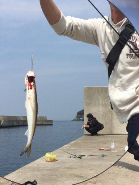 ショアジギ&穴釣り