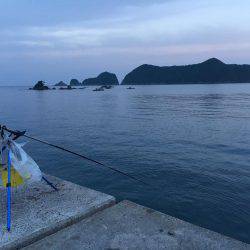 イカ、釣れません