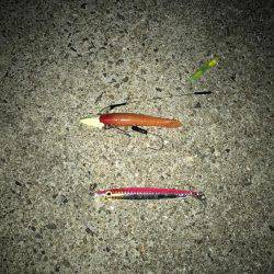 夕マヅメタチウオ釣行①