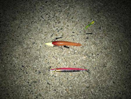 夕マヅメタチウオ釣行①