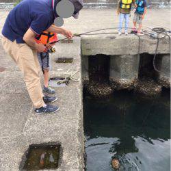 トリックサビキでファミリーフィッシング