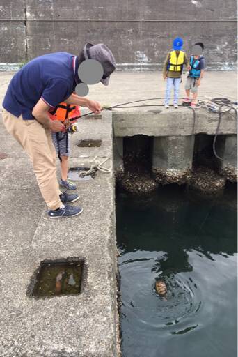 トリックサビキでファミリーフィッシング