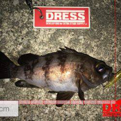 １つのプラグでしか反応ない…