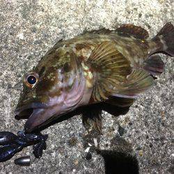 外道祭り開催(笑)