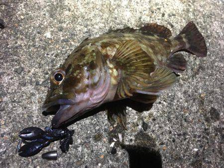 外道祭り開催(笑)