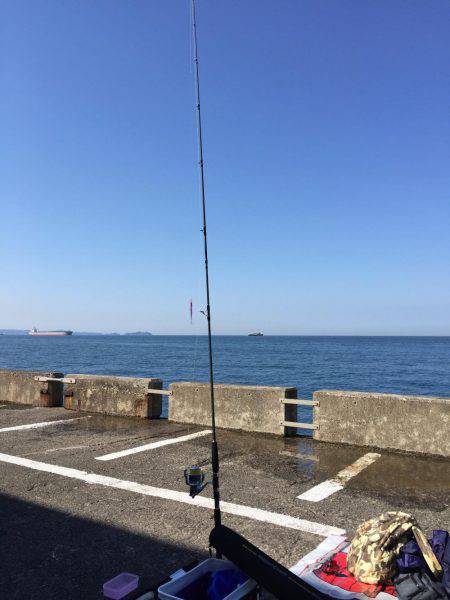 ハマチを釣りに行ったものの。。。